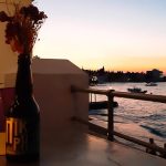 mosquito spetses Credits Google Business Profile