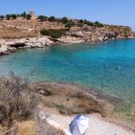 Γαρύφαλλος Σπέτσες credits spetses.gov.gr