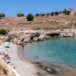 Γαρύφαλλος Σπέτσες credits spetses.gov.gr
