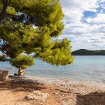 Κουζουνός Σπέτσες Credits spetses.gov.gr